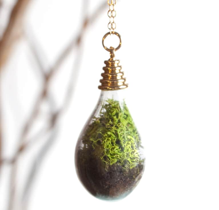 Check Out These Insanely Cool Wearable Plants
