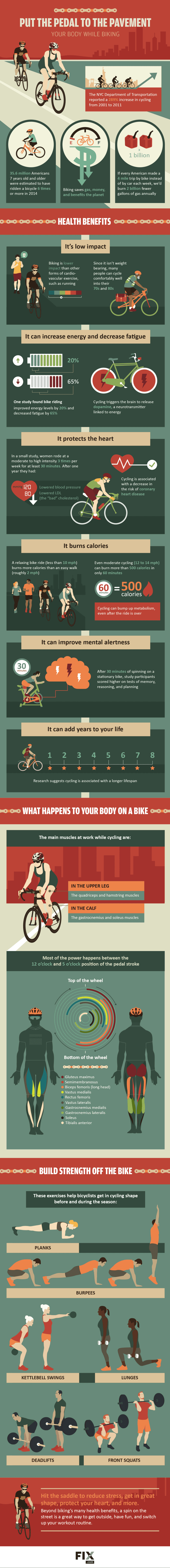 What REALLY Happens To Your Body When You're On A Bike (Infographic)