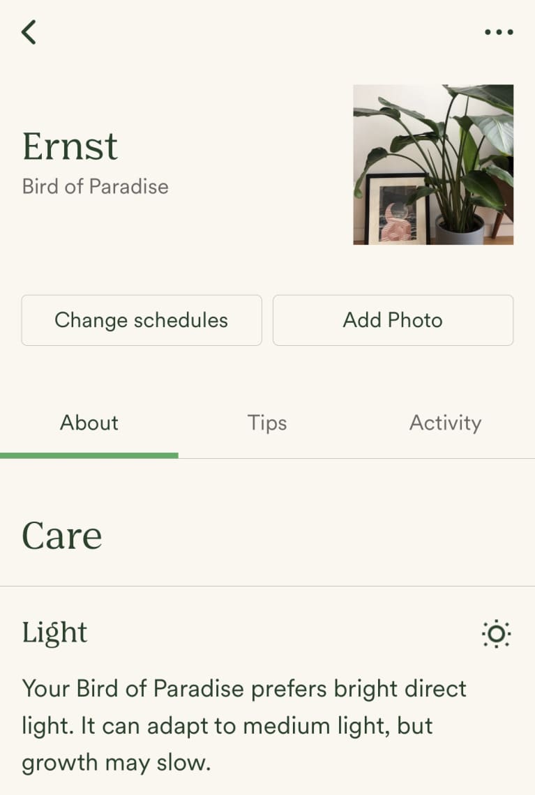 The 4 Best Phone Apps For Houseplant Care Advice