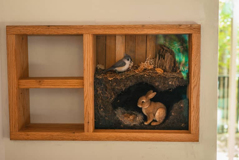 Diorama with forest creatures Diorama with forest creatures
