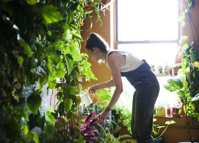 6 Habits Of A Plant-Care Expert