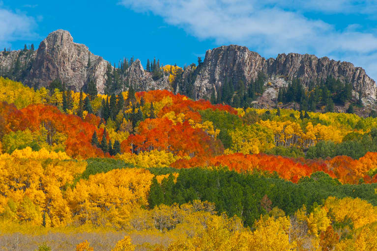 Colorado's Leaves Are Putting On A Show Now!