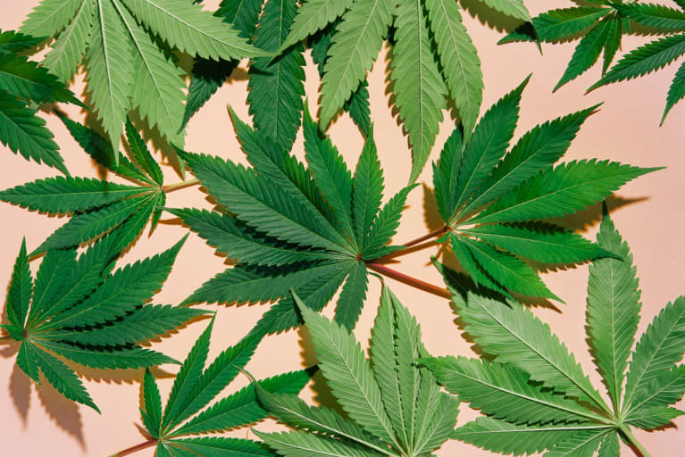 It's National Hemp Day! 3 Reasons We Use This Plant To Calm Our Stress