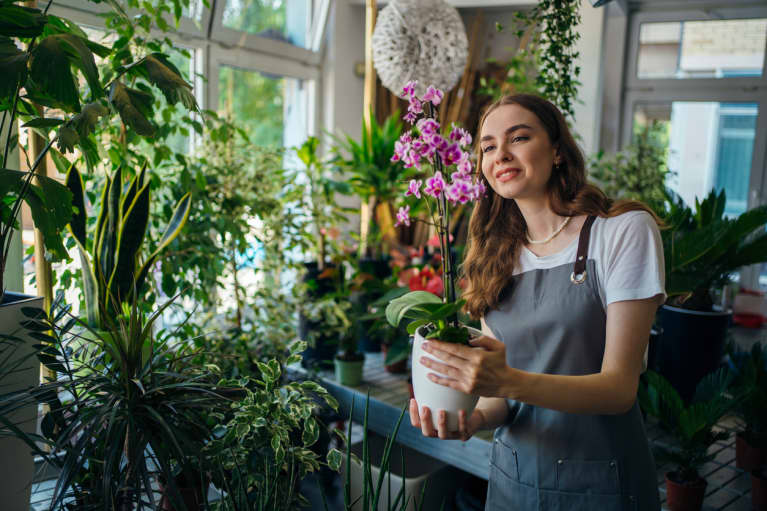 Orchid Care But Make It Easy: Your 101 Guide To The Blooming Beauties