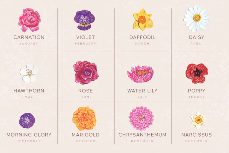 grid of birth month flowers