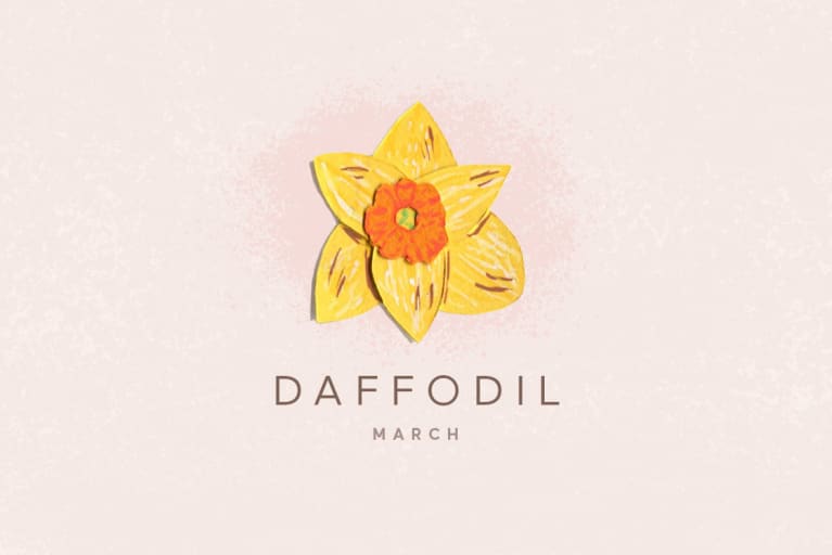illustration of daffodil flower