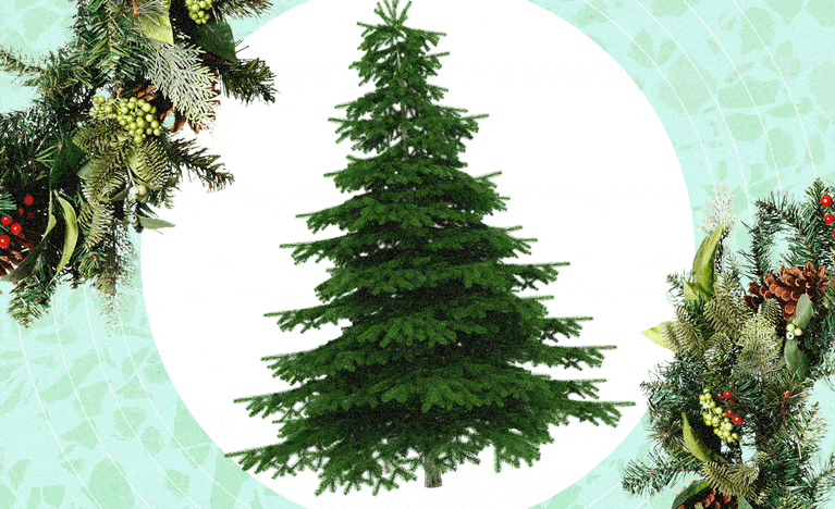 What to do With Your Christmas Tree After the Holidays