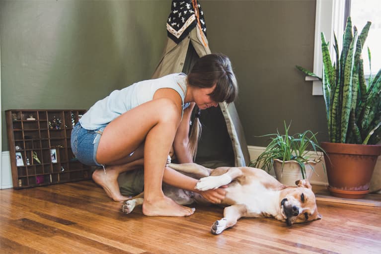 Research Shows A Raw Diet Can Help Dogs With Digestive Issues. Here's How Research Shows A Raw Diet Can Help Dogs With Digestive Issues. Here's How