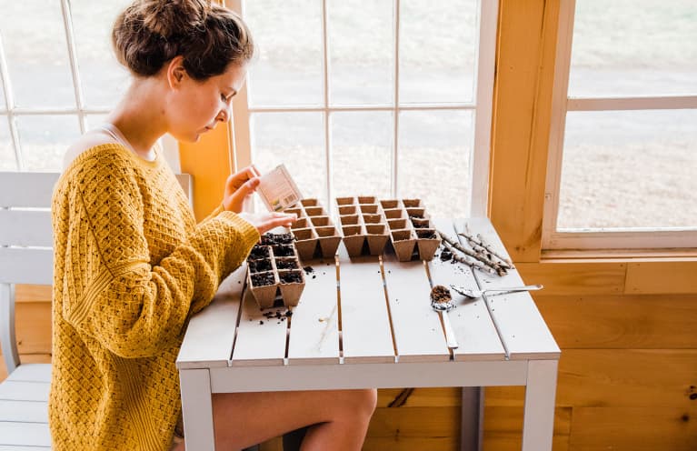 The Easiest Foods To Grow At Home — That You Can Still Start This Season The Easiest Foods To Grow At Home — That You Can Still Start This Season