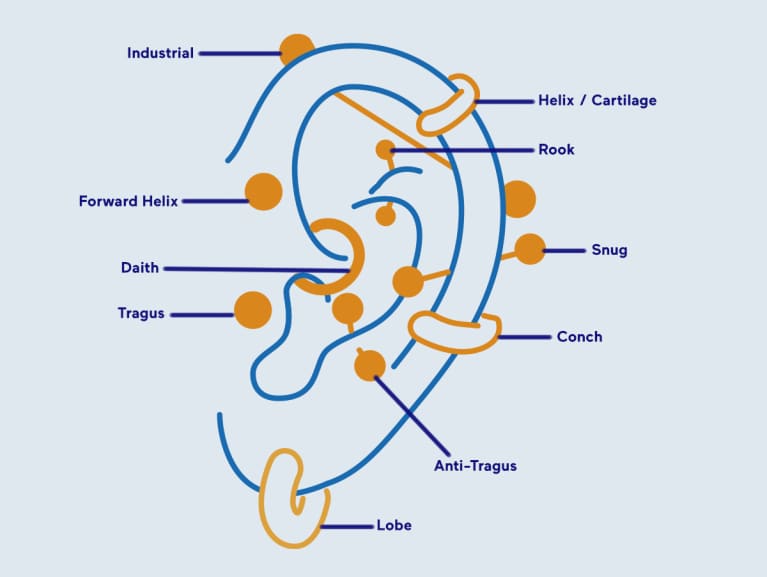 Ear Piercing Chart For