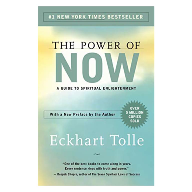 cover of the power of now