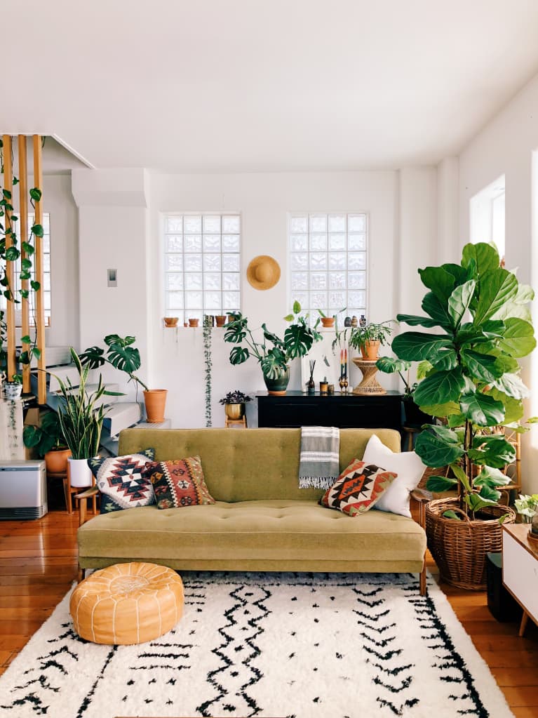 These 10 Homes Are Proof That You Can Never, Ever Have Too Many Plants These 10 Homes Are Proof That You Can Never, Ever Have Too Many Plants