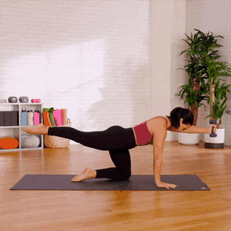 weighted bird dog exercise weighted bird dog exercise