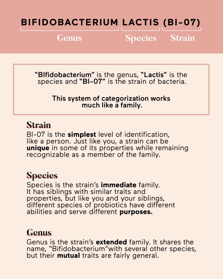 Probiotic strain naming system