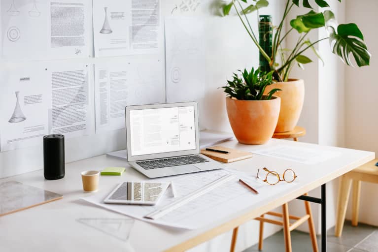 Why You Should Have A Plant On Your Desk According To Science