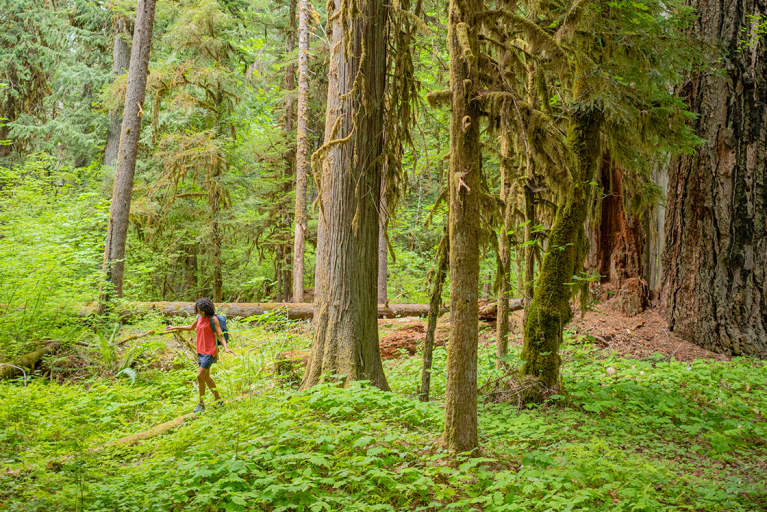 3 Ways To Harness The Healing Power Of Nature — And How To Give Back In Return