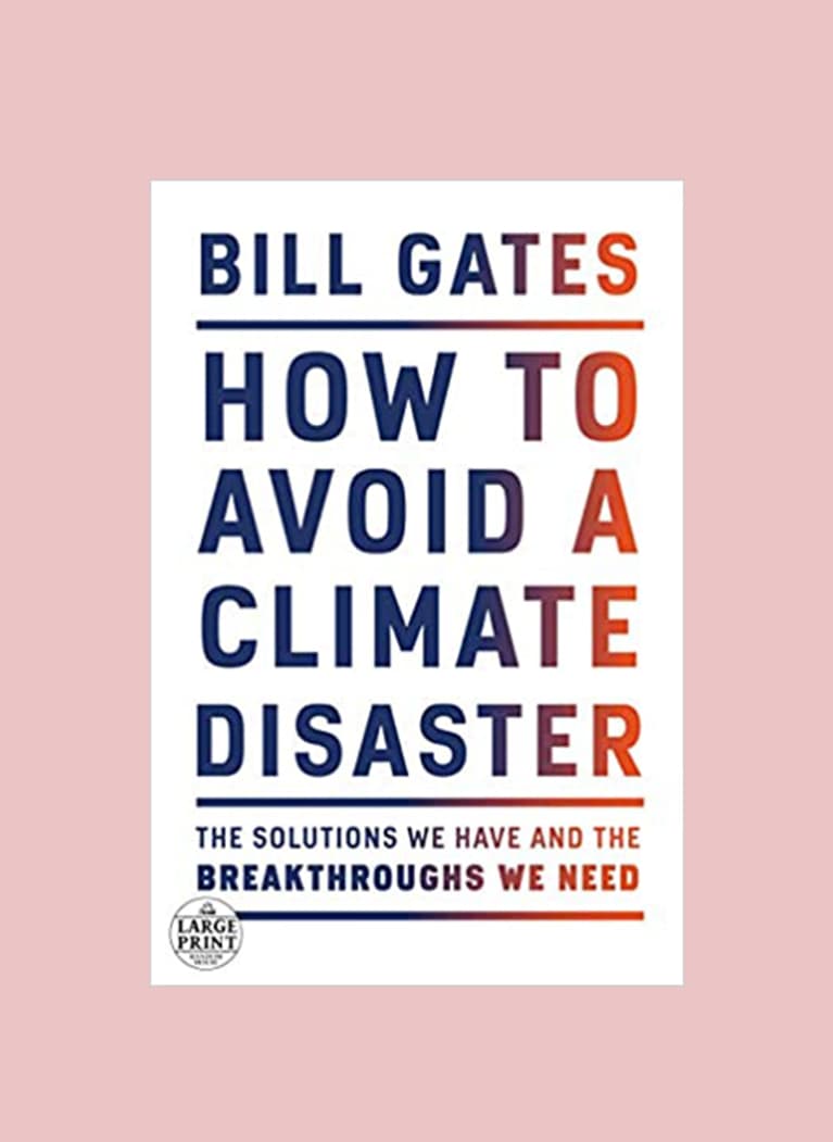 How to Avoid a Climate Disaster book cover