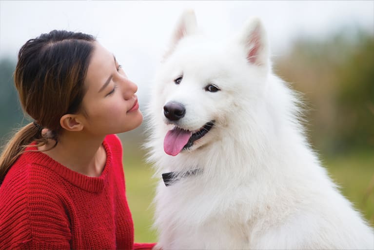 Pet Parents, We Cleared Up 5 Myths About A Raw Dog Food Diet. Here’s Why We’re Relieved Pet Parents, We Cleared Up 5 Myths About A Raw Dog Food Diet. Here’s Why We’re Relieved