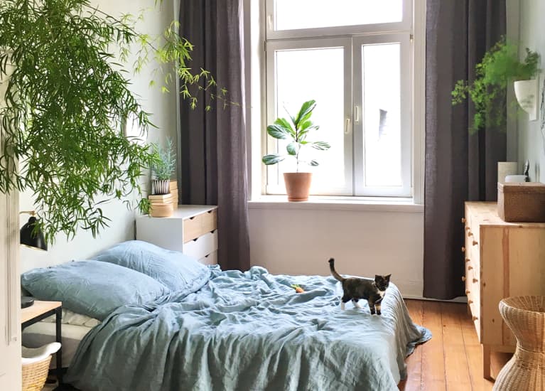serene bedroom with blue bedspread and small black cat