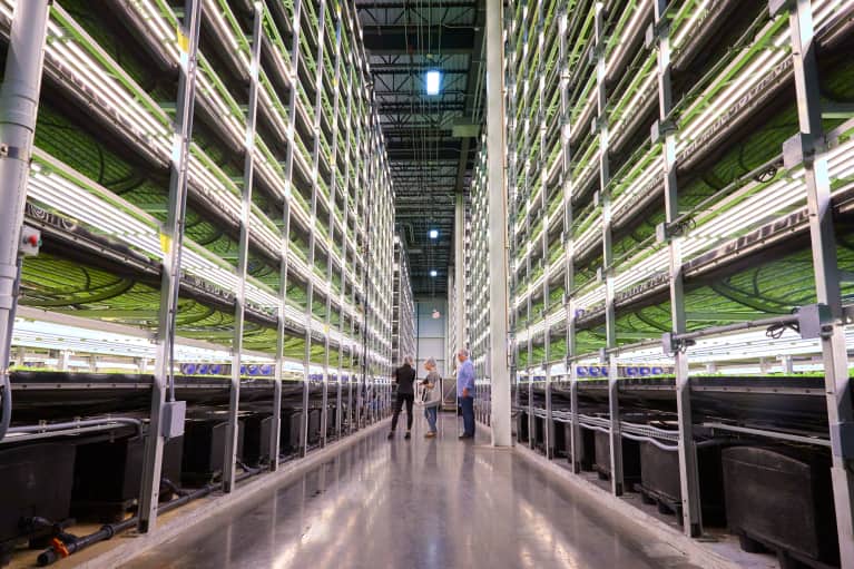 Why Your Next Salad May Come From A Roof, A Boat, Or A Warehouse