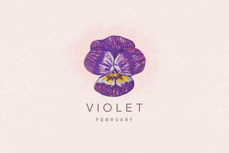 violet flower illustration