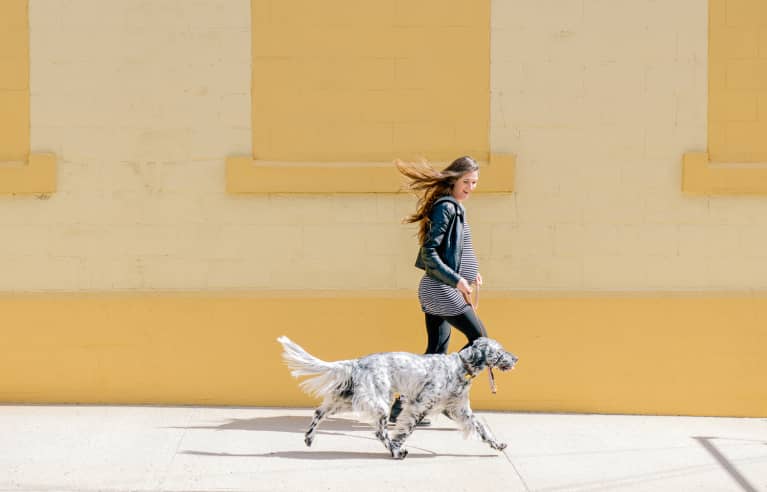 Pregnant Woman Walking with Her Dog