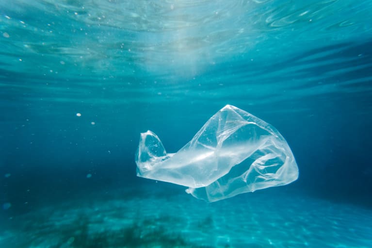 塑料袋海洋