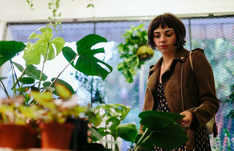 Houseplant Experts Have Spoken: These Are The Plants Even They Avoid Houseplant Experts Have Spoken: These Are The Plants Even They Avoid