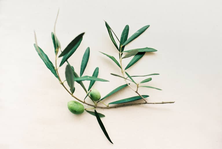 Olive Leaf Extract Benefits, Side Effects & AntiInflammatory Perks