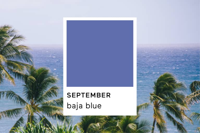 Pantone Baja Blue