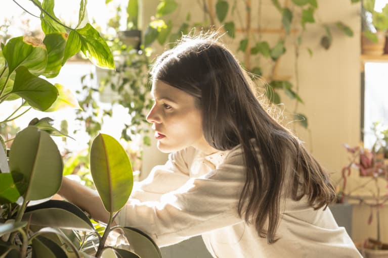 The Magical Thing That Happened When This New Yorker Kept Buying Houseplants