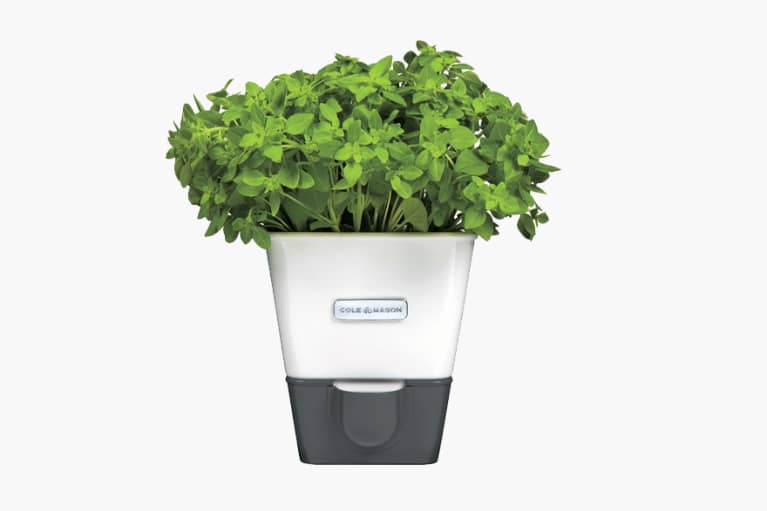 <p>Self-Watering Potted Herb Keeper</p> <p>Self-Watering Potted Herb Keeper</p>