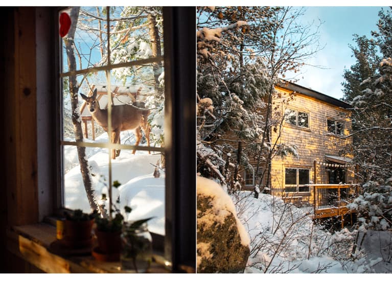 snow-covered cabin and view of deer out the window snow-covered cabin and view of deer out the window