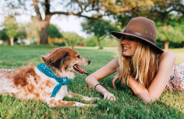 I'm A Holistic Vet: These 6 Tips Can Help Your Pets Live Longer