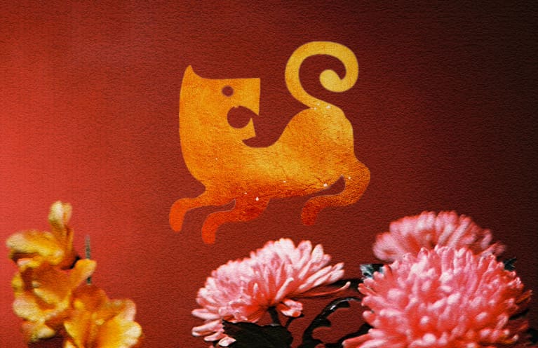 Tools to help you succeed this year, based on your Chinese zodiac animal