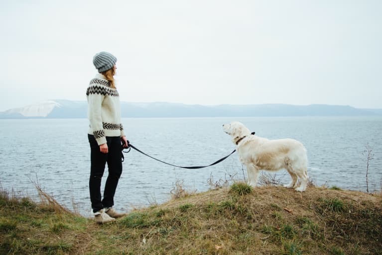 3 Easy Ways To Be A More Eco-Minded Pet Parent