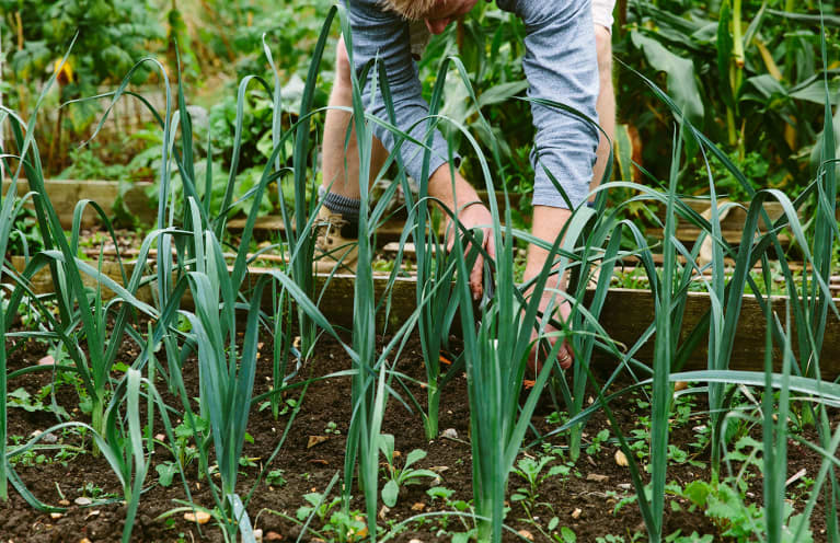 Weeds Don't Stand A Chance Against These 7 DIY Natural Weed Killers