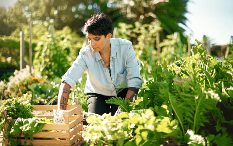 How To Take Your Plant Obsession Outside — Even If You Don’t Have The Space