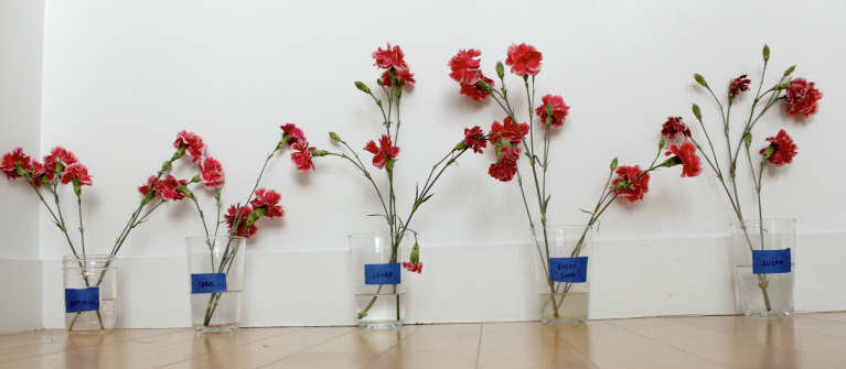 five flower bouquets in a row five flower bouquets in a row