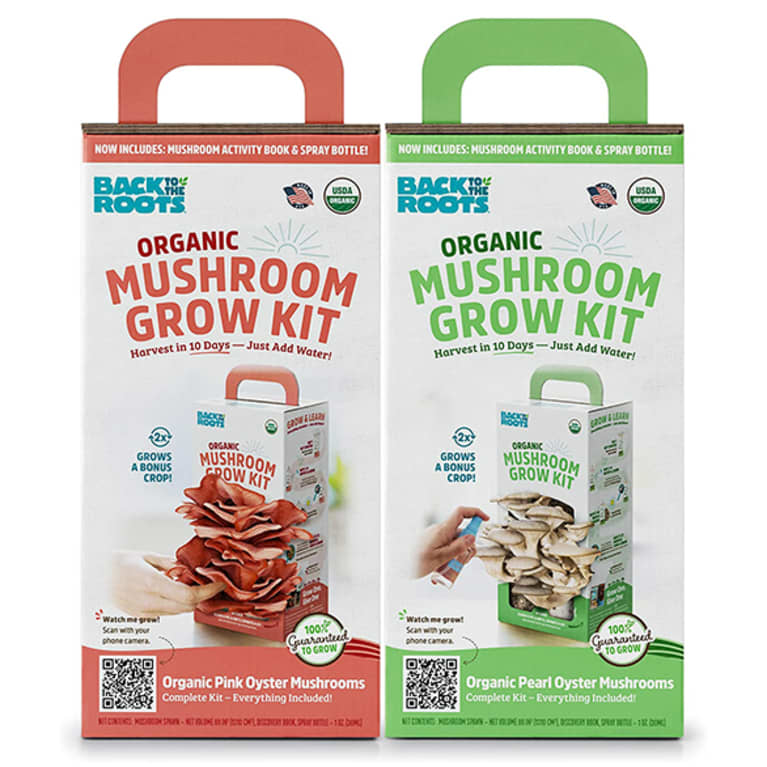 2 mushroom grow kits in cardboard containers