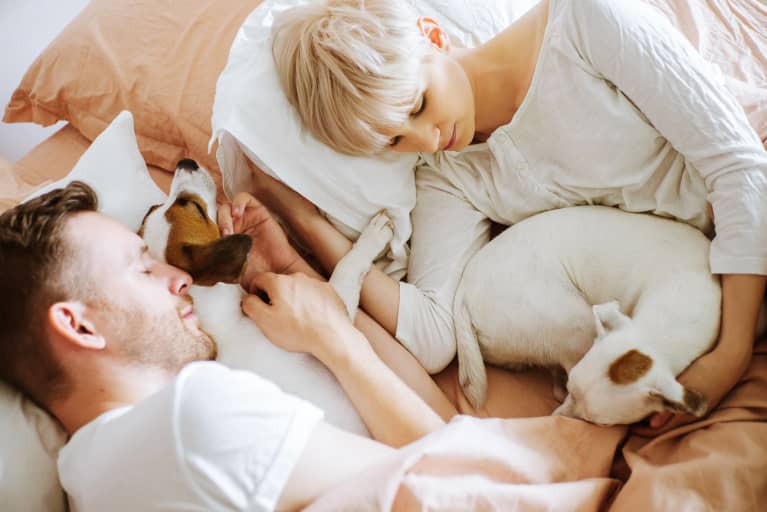 woman and man cuddling with dogs in bed