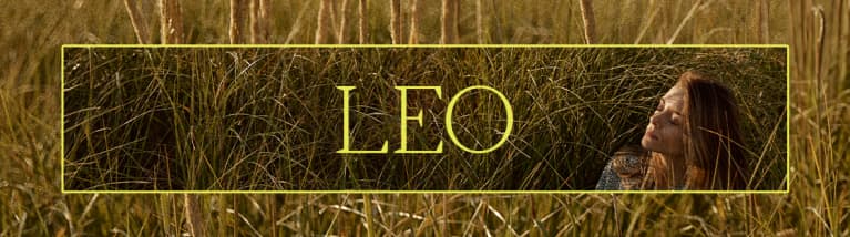 Leo Leo