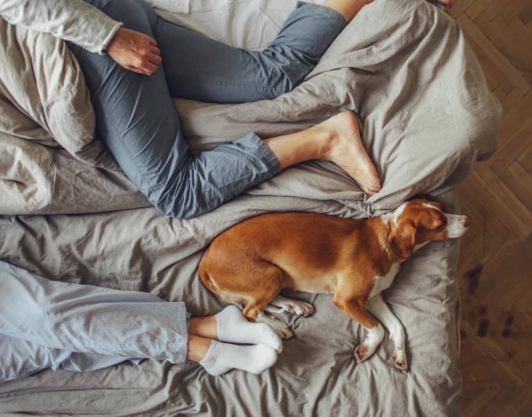 The 7 Best Beds That Are Actually Long Enough For Tall People
