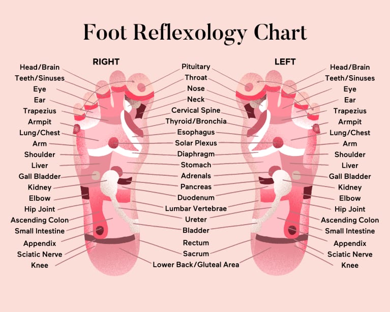 Foot reflexology chart with pressure points labeled
