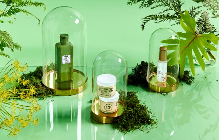 Stressed-Out Skin? Meet The Mushrooms & Herbs That'll Help Revitalize It