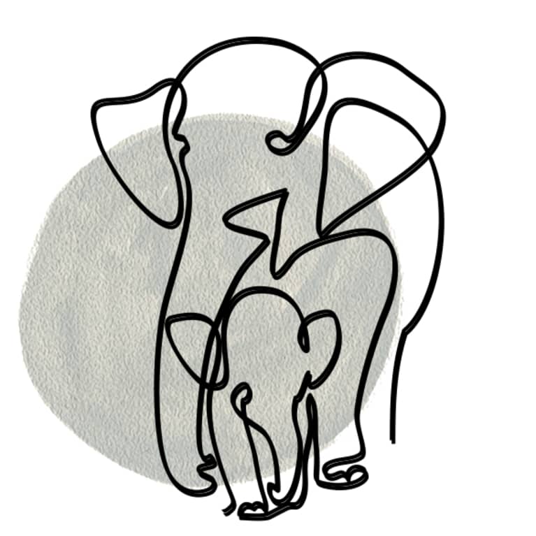 elephant illustration