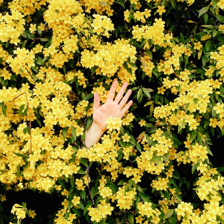 Waving hello in a bunch of flowers