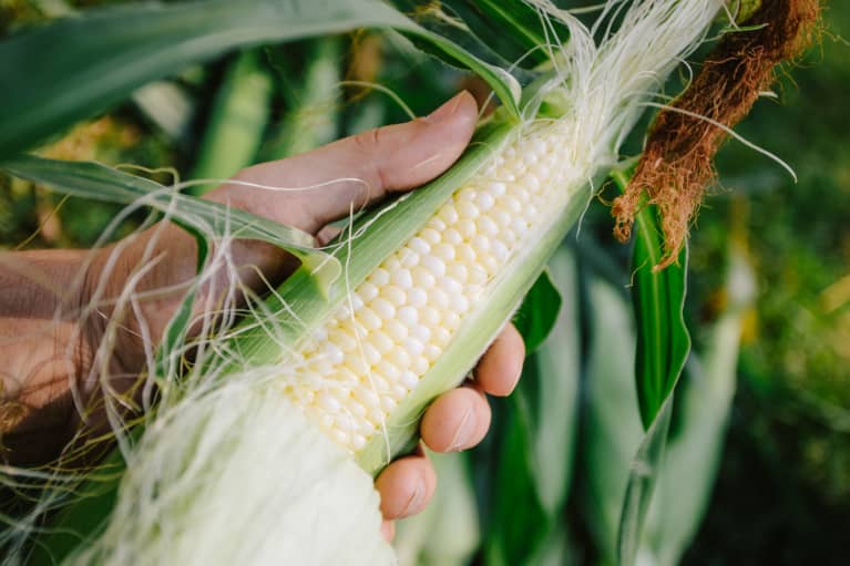 Is Corn A Grain, A Vegetable, Or A Fruit? Nutritionists Explain