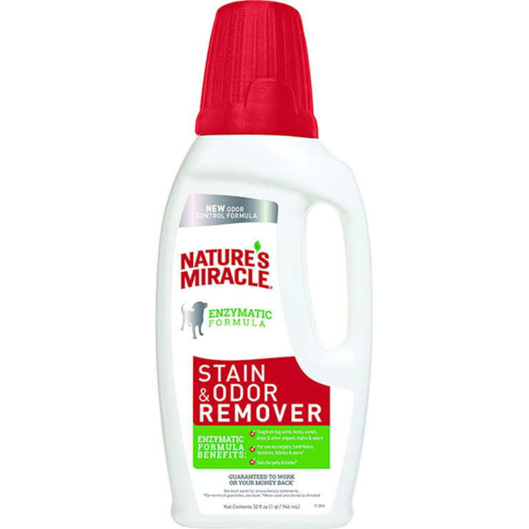 8 Of The Best Enzyme Cleaners To Remove Pet Stains & Odors