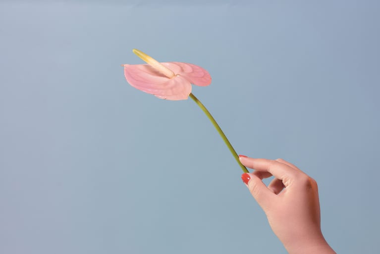 Image of a person holding a flower.
